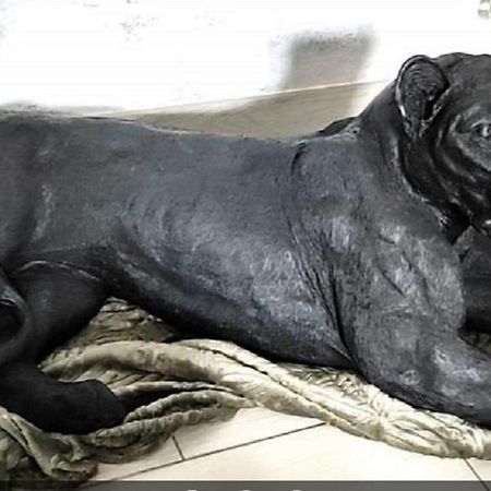 Zoologite Saint-Aignan  Exteriér fotografie