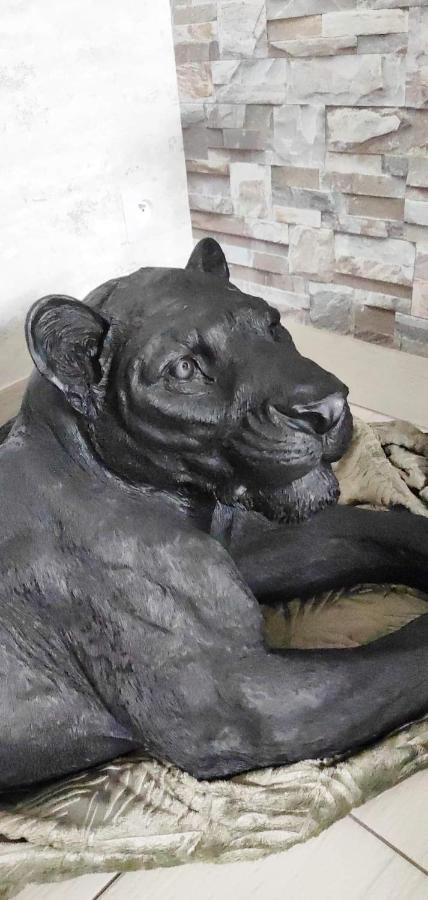 Zoologite Saint-Aignan  Exteriér fotografie
